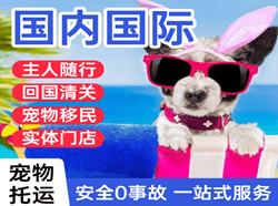 两江航空快递国际宠物托运 【国
